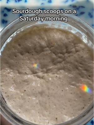 A post by @wheatculture on TikTok caption: Sourdough scoops on a Saturday morning #sourdough #sourdoughstarter #sourdoughtiktok #sourdoughtok #sourdoughasmr #sourdoughcrunch #sourdoughclub 