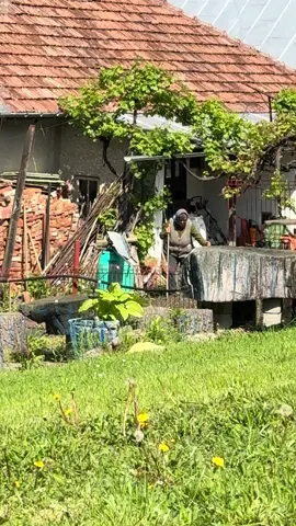A post by @andruu46 on TikTok