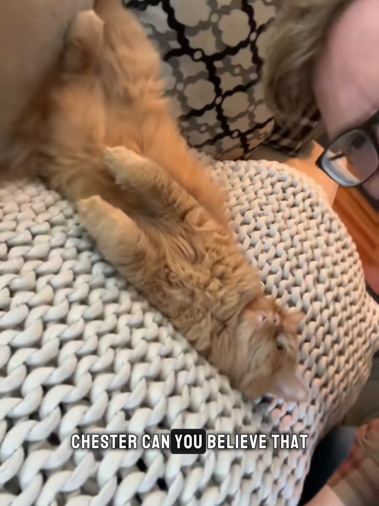 A post by @hankgreen1 on TikTok caption: You can help us keep Crash Course free! There's a link in my bio.