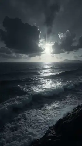 A post by @gossipaes1 on TikTok caption: Immigration #france🇫🇷 #viral #following #follovers #tiktok❤️❤️❤️❤️❤️ #virlvideo #pov 