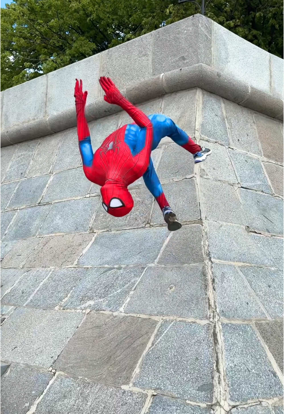 A post by @moscow_spider on TikTok caption: like the most active ones♥️ My YouTube channel: Moscow Spider✅ #moscowspider 