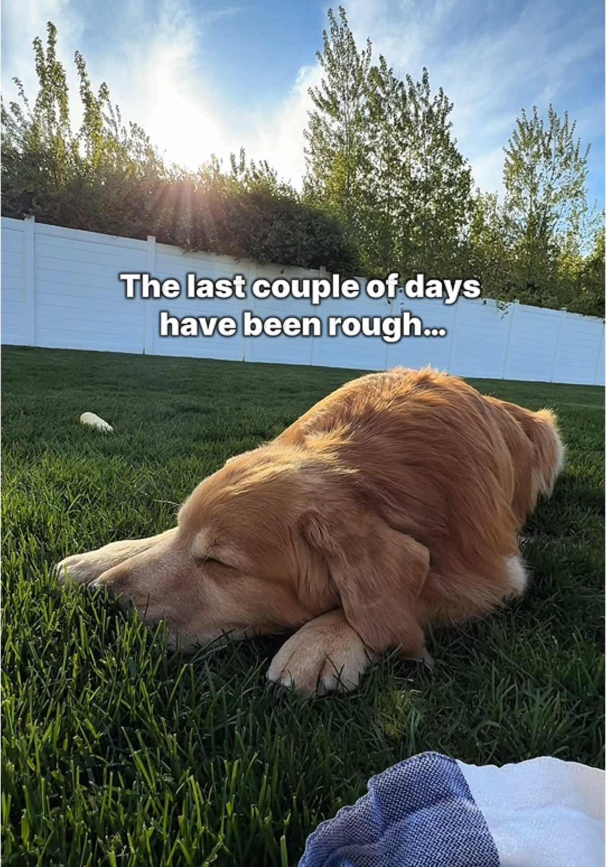 A post by @tuckerbudzyn on TikTok caption: Plot twist: I just needed to be folded like a lawn chair and now I'm thriving In all seriousness, the last few days were really scary. We had no idea what was going on, and of course, our minds went to the worst-case scenario. The look in Tucker's eyes told us he was in a lot of pain, and we felt helpless not knowing what was wrong. It was such a relief to see the light come back into his eyes after his chiropractic adjustment...the difference was immediate.  We still don't know exactly what happened, but we think he may have jumped off the bed and landed wrong, possibly throwing his neck or back out and pinching a nerve. That would explain the sudden pain and stiffness. We're just so grateful he's doing better now. He has a few more adjustments scheduled to support his healing, and we're hopeful he'll be back to swimming soon! We did have to take Gator back home so Tucker could rest, which means a few fun videos we planned will have to wait. But Tucker's health always comes first 🩵