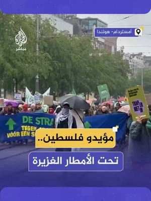 A post by @aljazeera_mubasher on TikTok caption: لم تمنعهم الأمطار الغزيرة.. مظاهرة في شوارع العاصمة الهولندية #أمستردام تضامنا مع #فلسطين وتنديدا بجرائم الاحتلال في #غزة #الجزيرة_مباشر