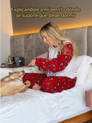 A post by @kimmigneault on TikTok caption: Mi perrita me gobierna 👁️👄👁️ #humor #perros #dormir #kimrixs 
