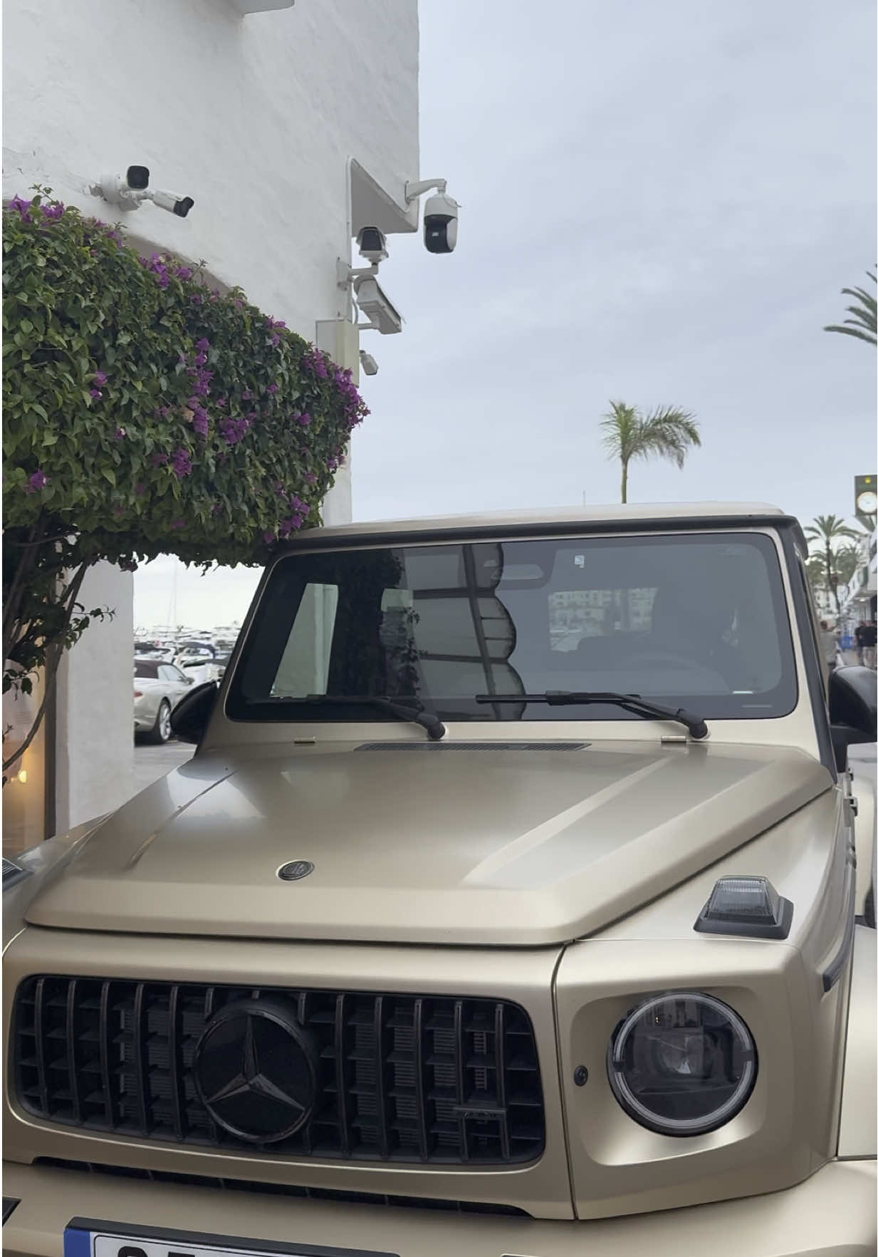A post by @cassiusmears on TikTok caption: #bankholiday #marbella #puertobanus #ktrap #kreptkonan #fyp #foryoupage