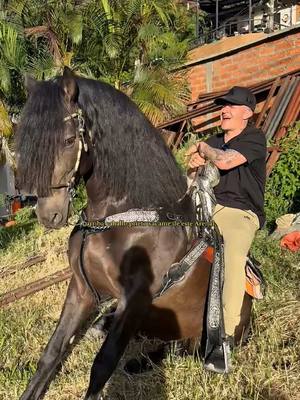 A post by @luisalfonso on TikTok caption: Arriba caballooo 🤠🐴