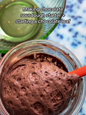 A post by @wheatculture on TikTok caption: It’s been awhile since I’ve made a chocolate loaf! I have the recipe for the starter and loaf on my page. This is the kind of starter I only make for a single use purpose-not one to maintain on a regular basis #sourdough #sourdoughstarter #sourdoughtiktok #sourdoughtok #sourdoughasmr #sourdoughcrunch #sourdoughclub #chocolatesourdough #chocolatesourdoughstarter 