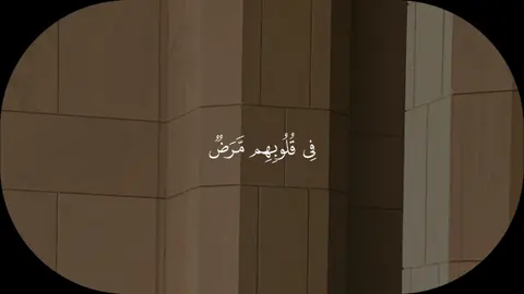 A post by @quran1377 on TikTok caption: أرح سمعك وتدبر الآيات🤍#قرآن #قرآن_كريم #القرآن_الكريم #مشاري_العفاسي #قرآن_صلي_علي_النبي 