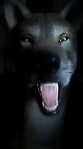 A post by @krazymations on TikTok caption: Feed your eyes..#wolf #aliceinchains #3danimation #krazymations 