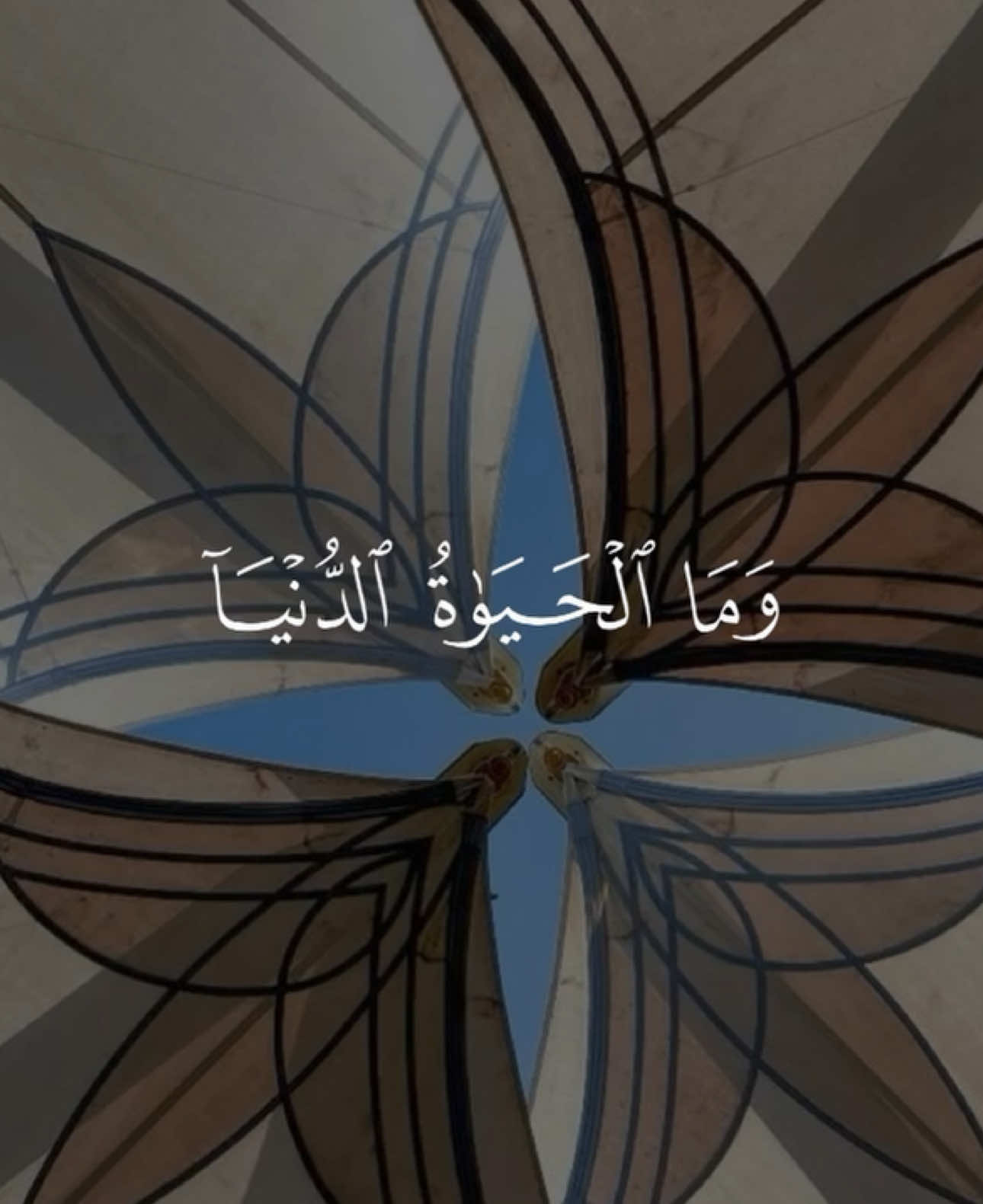 A post by @quran1377 on TikTok caption: تدبروا الآيات🤍#قرآن #قرآن_كريم #القرآن_الكريم #إدريس_أبكر #قرآن_صلي_علي_النبي 