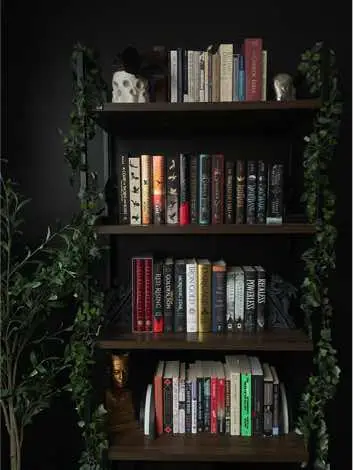 A post by @kcallanott on TikTok caption: home lately 🖤 #homeinterior #homedecor #blackwalls #booklover #darkacademia #gothichome #readersoftiktok #gothicdecor #darkinterior #darkaesthetic #cozyathome #bookworm 