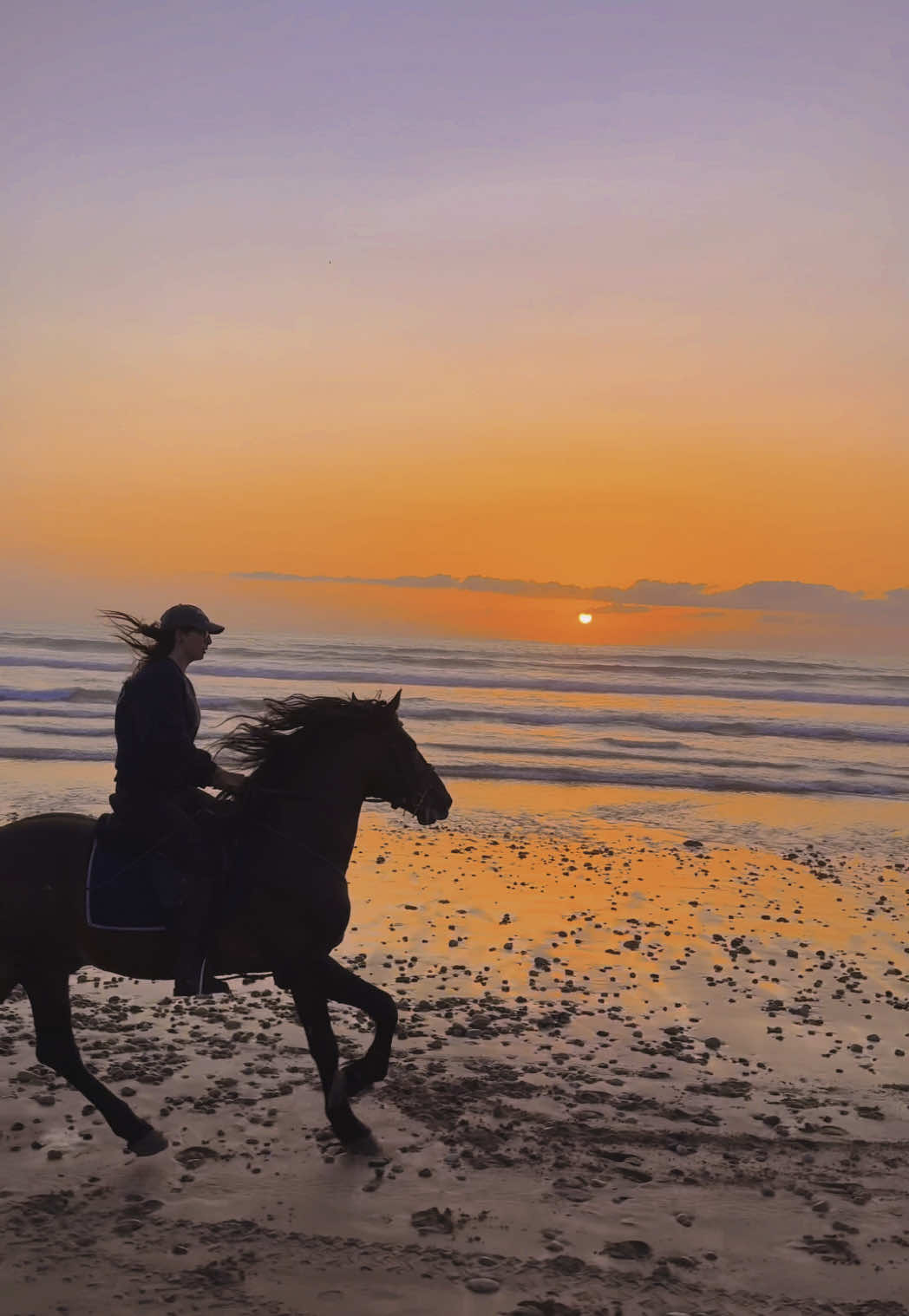 A post by @essaouirahorseparadise on TikTok caption: Sometimes, dreams and real life do cross paths.  Fidati ✨ Capo & Me.  👉🏼 We are a Travel Agency based in Essaouira (Morocco). Join us for an unforgettable horseride holidays. Ride the best horses in town, and meet the best team of riders.  . . . . . . #horses #horsesoftiktok #horse #horsetok #equestrian #fyp #cheval #fypage #viral #viralvideo #pferd #horsesontiktok #лошадь #horselove #essaouira #morocco #lovak #caballos #cavalli #horsegirl 