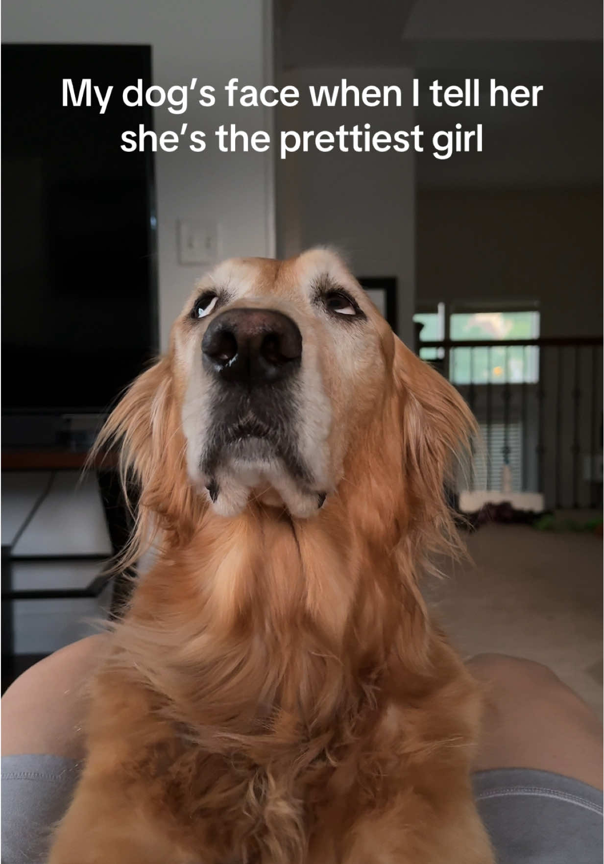 A post by @adventuringwithnala on TikTok caption: She said, like obviously 🙄