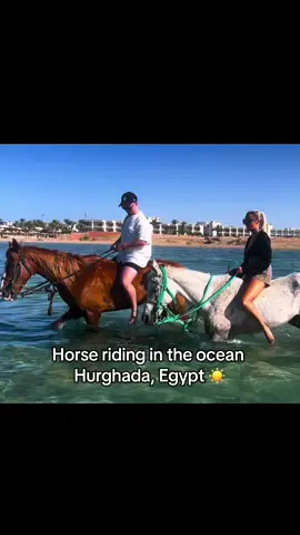 A post by @nicolazc on TikTok caption: Apart from my 🍑 being in agony after…was a great experience x #holidaytiktok #holiday #egypt #couple #fyp 