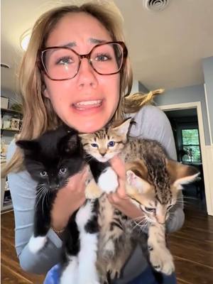 A post by @kaelyngutierrez on TikTok caption: making roadtrip snack packs for my mom and meeee