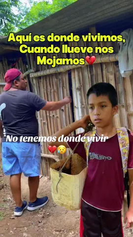 A post by @dalechapi on TikTok caption: No tenemos donde vivir😥💔 #unidosporjulio #impactante #videoviral 