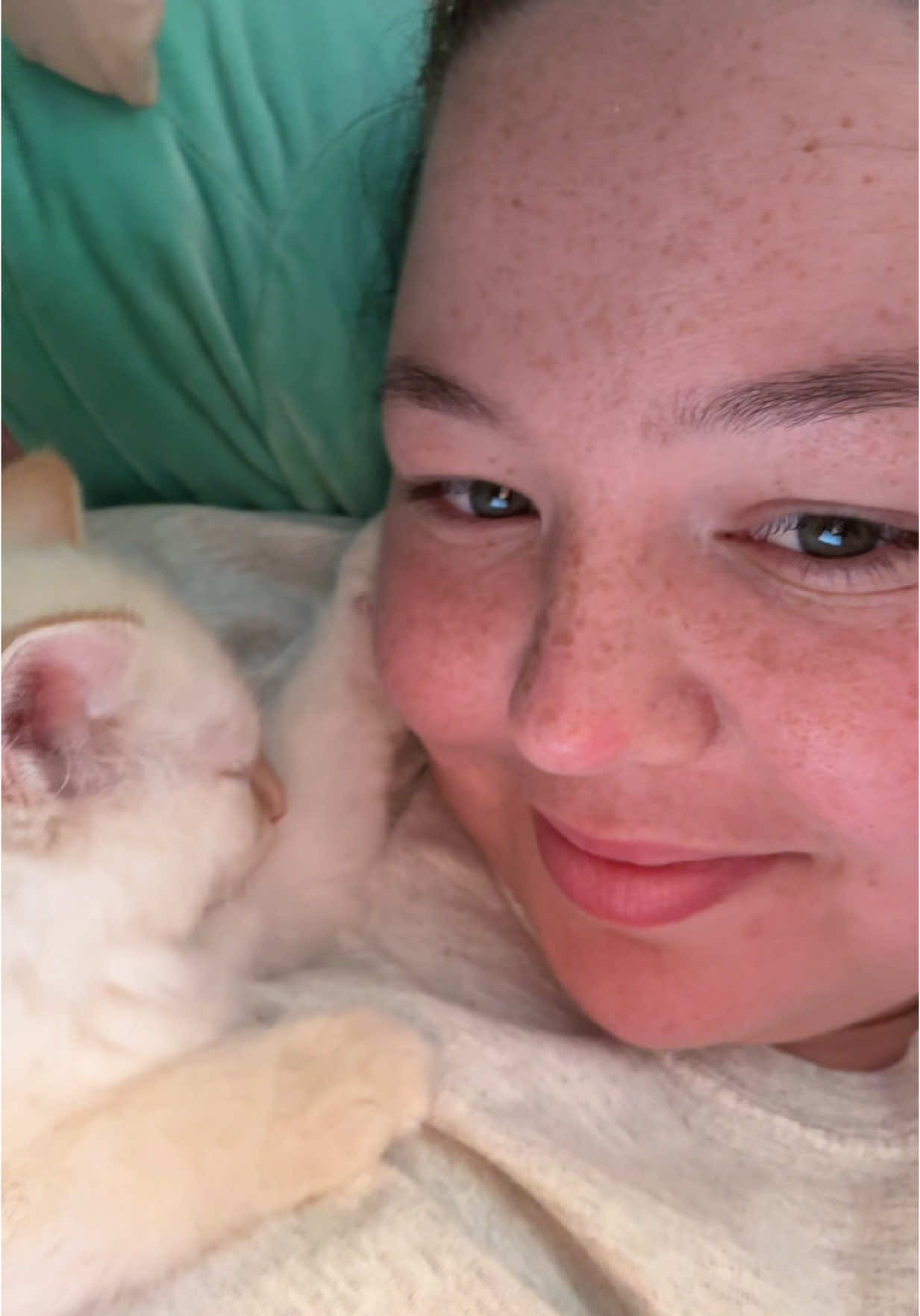 A post by @marabw on TikTok caption: I LOVE THIS LITTLE KITTY SOOO MUCH!!!