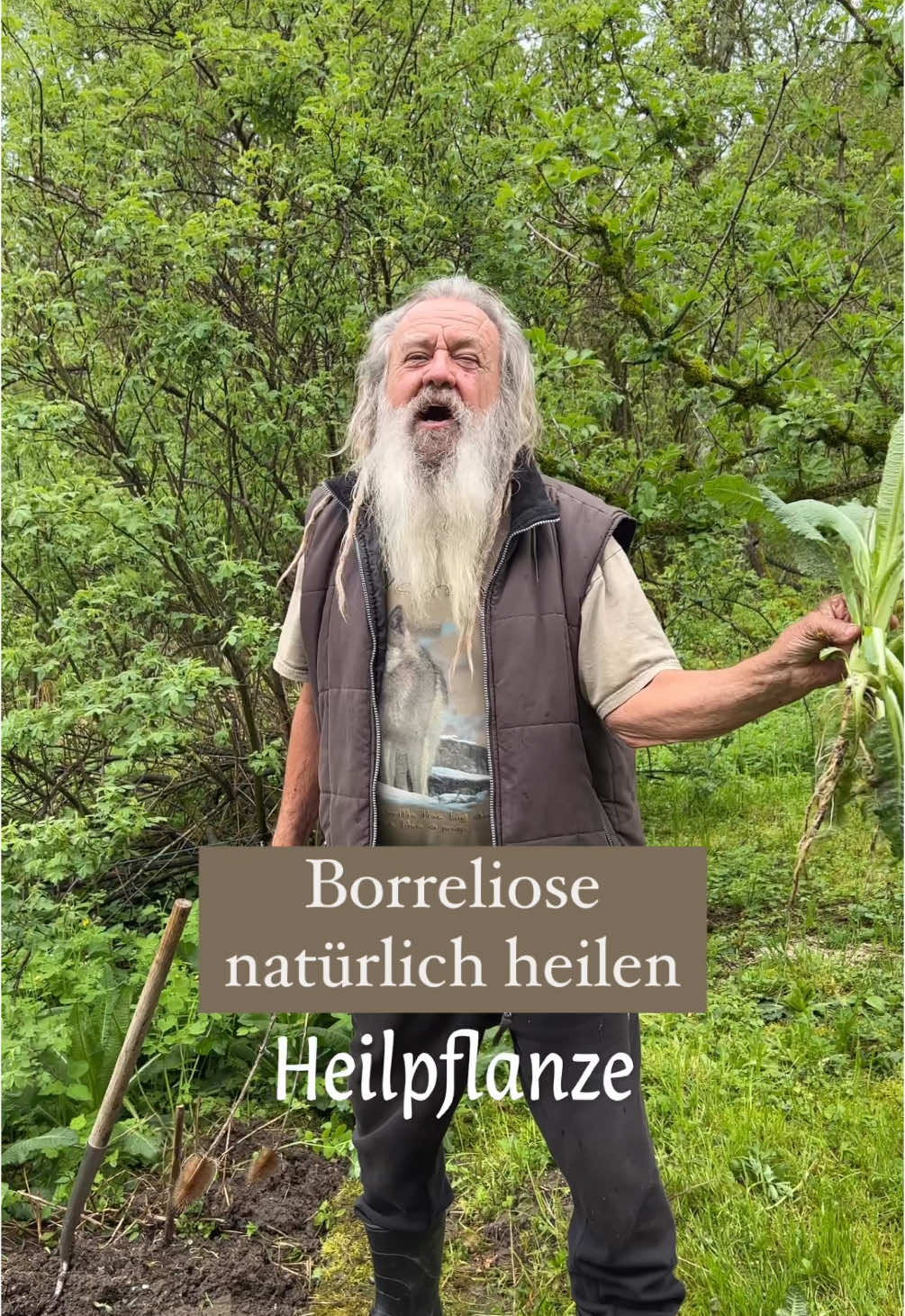 A post by @wolfdieterstorl on TikTok caption: Es ist noch nicht so lange her, da war ein Zeckenbiss nichts weiter als eine kleine Irritation. Heute jedoch hat man Angst, in jeder Zecke könnten Spirochäten lauern, die darauf warten, Mensch und Tier mit einer schlimmen Krankheit anzustecken – mit der Borreliose, einer Multisystemerkrankung, die jedes Organ befallen und jedes Symptom vortäuschen kann. In dem Buch Borreliose natürlich heilen geht es um eine neue Volkskrankheit, die allmählich epidemische Ausmaße anzunehmen scheint: Die Borreliose. #natur #gesund #heilpflnaze #pflanzen #mai #motivation  * Die in diesem Buch wiedergegebenen Informationen sind nach bestem Wissen und Gewissen dargestellt und wurden mit größtmöglicher Sorgfalt geprüft. Da sie den Rat einer kompetenten Fachperson nicht ersetzen, sondern lediglich ergänzen können, ist es in jedem Fall empfehlenswert, sich a den Arzt oder Heilpraktiker Ihres Vertrauens zu wenden. Autor und Verlag übernehmen keinerlei Haftung für Schäden oder Folgen, die sich aus dem Gebrauch oder Missbrauch der hier vorgestellten Informationen ergeben.