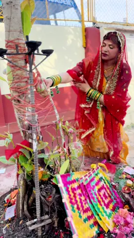 A post by @zhasamridhi on TikTok caption: 🙏🏻🥺#samridhizha #vatsabitripuja #foryou 