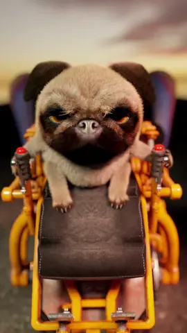 A post by @krazymations on TikTok caption: Bat out of hell!! #pug #meatloaf #3danimation #krazymations 