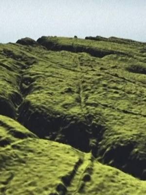 A post by @lemondefr on TikTok caption: Cette technologie de télédétection par laser dévoile les ruines invisibles sous la végétation. Vidéo : Pierre Lecornu #lidar #archeologie #tech #science #sinformersurtiktok