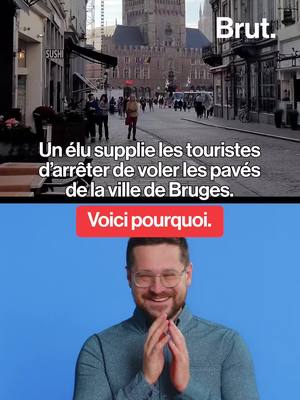 A post by @brutofficiel on TikTok caption: Un élu supplie les touristes d’arrêter de voler les pavés de la ville de Bruges. #bruges #belgique #tourisme #patrimoine 