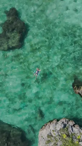 A post by @hotelxcaretmexico on TikTok caption: If you want to connect with nature and enjoy a marvelous natural wonder, be sure to include Xel-Há Park in your vacation itinerary. Access to all the parks and transportation is included with your stay.  #AllFunInclusive 