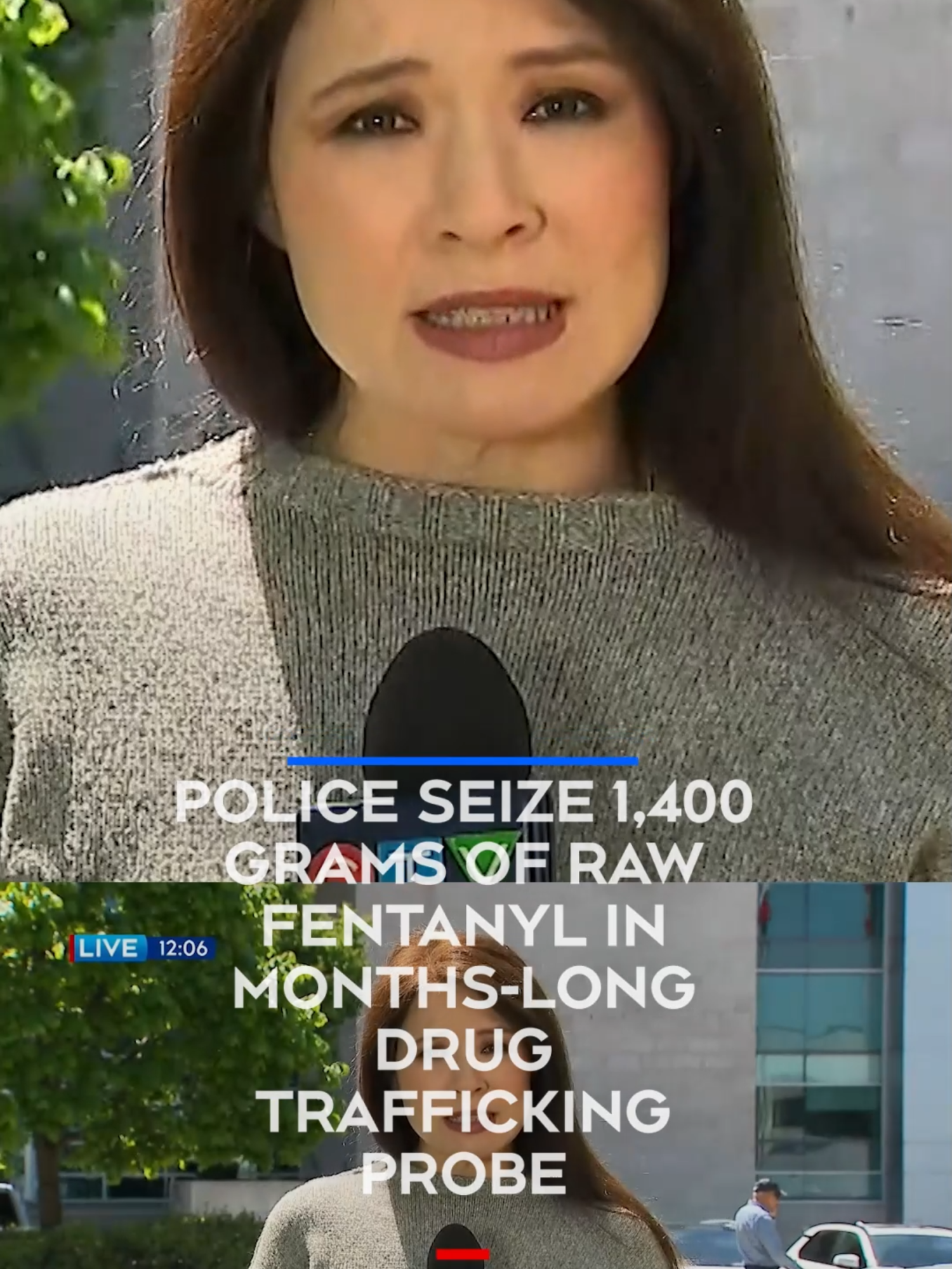 A post by @ctvnewstoronto on TikTok caption: York Regional Police seized 15 firearms and more than 1,400 grams of raw fentanyl following a months-long investigation into a drug trafficking ring in Georgina, Ont. Speaking at a news conference on Monday morning, police say they launched their investigation, dubbed Project Madruga, in February. Six adults were arrested after search warrants were conducted in April and May in Toronto and York Region. In addition to the fentanyl, police say they seized 400 grams of cocaine, 70 grams of methamphetamines, 360 suspected opioid pills, more than 260 grams of illicit cannabis and more than $7,000 in Canadian cash. In total, police say the monetary value of all the drugs seized is estimated at $215,000.