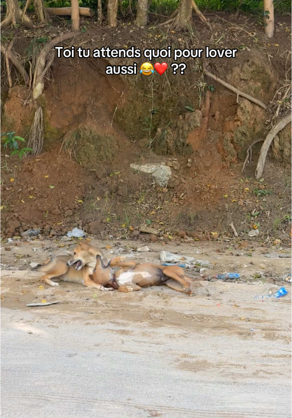 A post by @tmacrush_officiel on TikTok caption: 😂😂😂