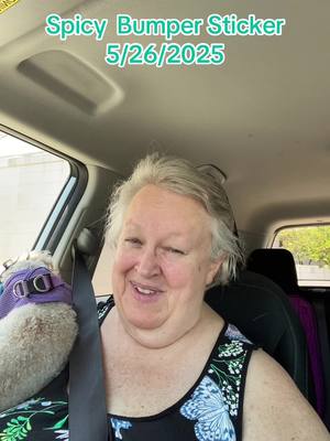 A post by @poeticarose on TikTok caption: #humor #bumperstickers #spicy  #driving #ridesharedriver 