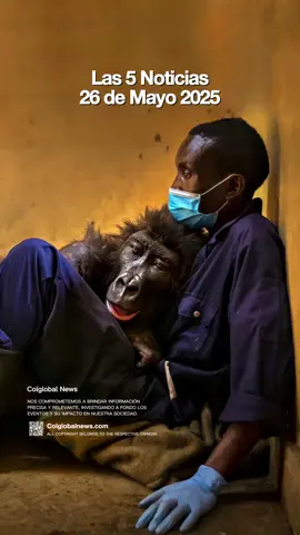 A post by @colglobalnews on TikTok