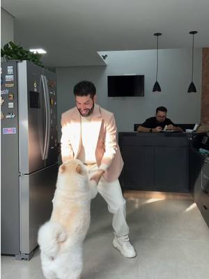 A post by @studioleosilva on TikTok caption: Minha cachorra me julgando kkk