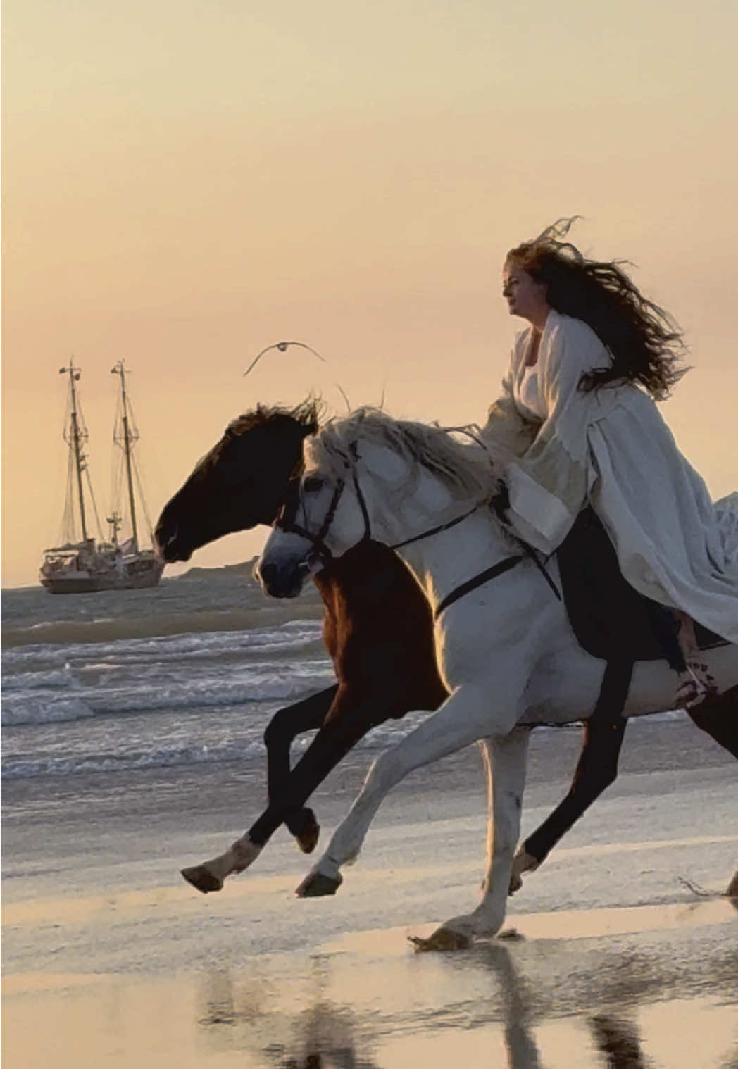 A post by @essaouirahorseparadise on TikTok caption: A dream coming in to a real life 🫶🏼 👉🏼 We are a Travel Agency based in Essaouira (Morocco). Join us for an unforgettable horseride holidays. Ride the best horses in town, and meet the best team of riders.  . . . . . . #horses #horsesoftiktok #horse #horsetok #equestrian #fyp #cheval #fypage #viral #viralvideo #pferd #horsesontiktok #лошадь #horselove #essaouira #morocco #lovak #caballos #cavalli #dream 