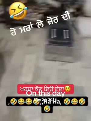 A post by @raabtodaar on TikTok caption: #onthisday 