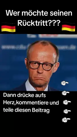 A post by @andiohmsen81 on TikTok caption: #germany🇩🇪 #fyp #AfD #viral #deutschland #viral_video #foryou 