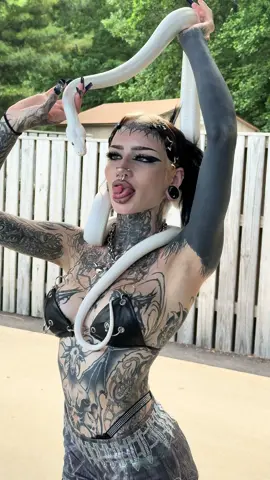 A post by @m0rguekitty on TikTok caption: @Royal Retics 🤩🐍🐍
