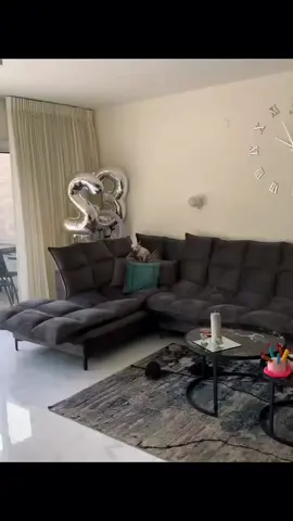A post by @dogg_chihuahua on TikTok caption: why is niki hidding there 😂 #pet #foryou #PetsOfTikTok #fypシ #chihuahua #dog 