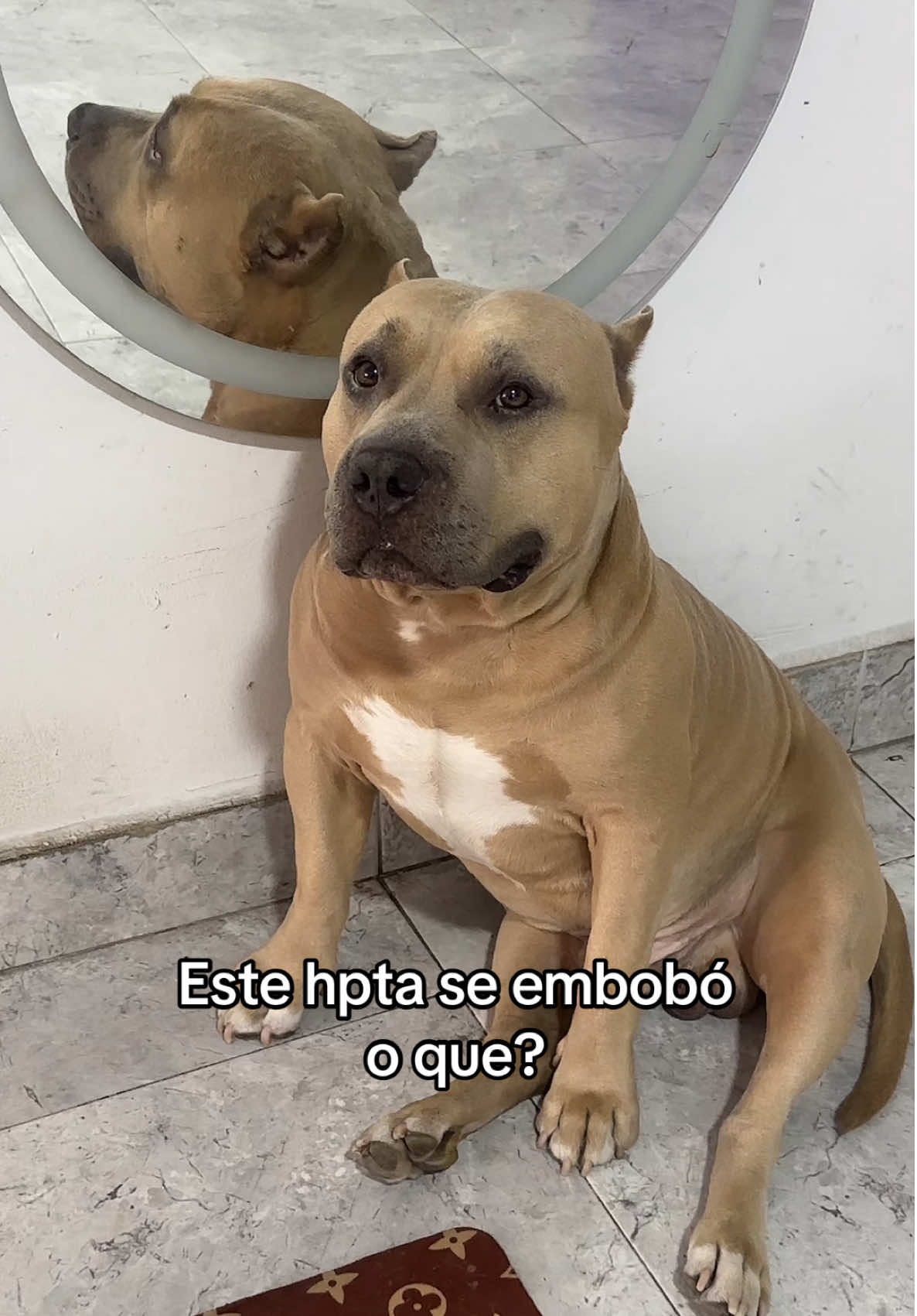 A post by @vikingo606 on TikTok caption: Ese parcero disque tin 🧐 #vikingo606 #humor 