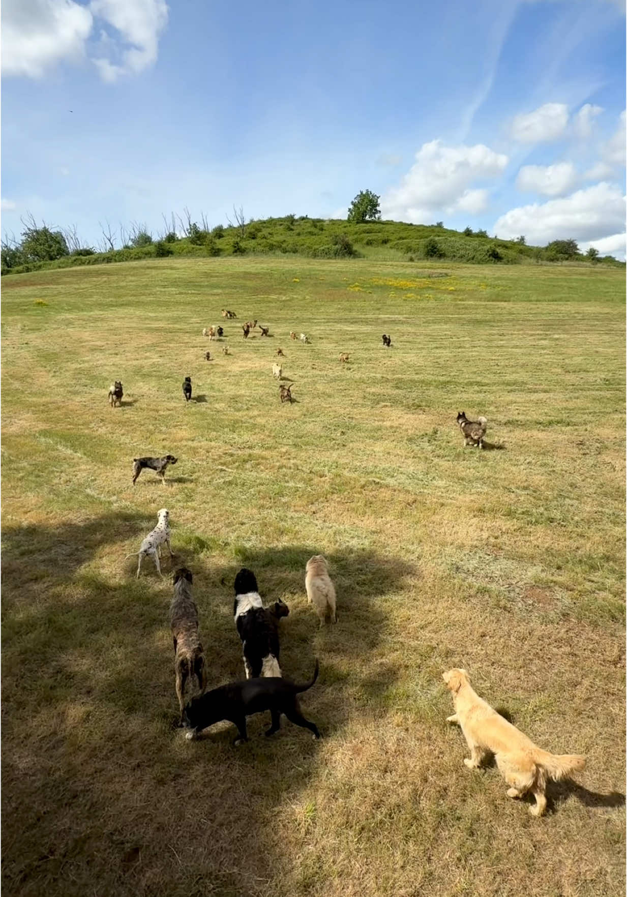 A post by @theasherhouse on TikTok caption: Far from ordinary but quite the sanctuary ❤️