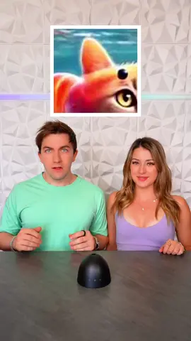 A post by @jadensprinz on TikTok caption: Can you guess the Italian brainrot chracter? 