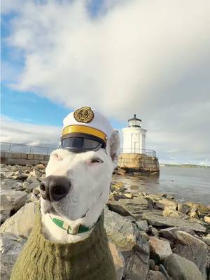 A post by @mistermainer on TikTok caption: Ahoy #maine #portlandmaine #ocean #lighthouse #memes 