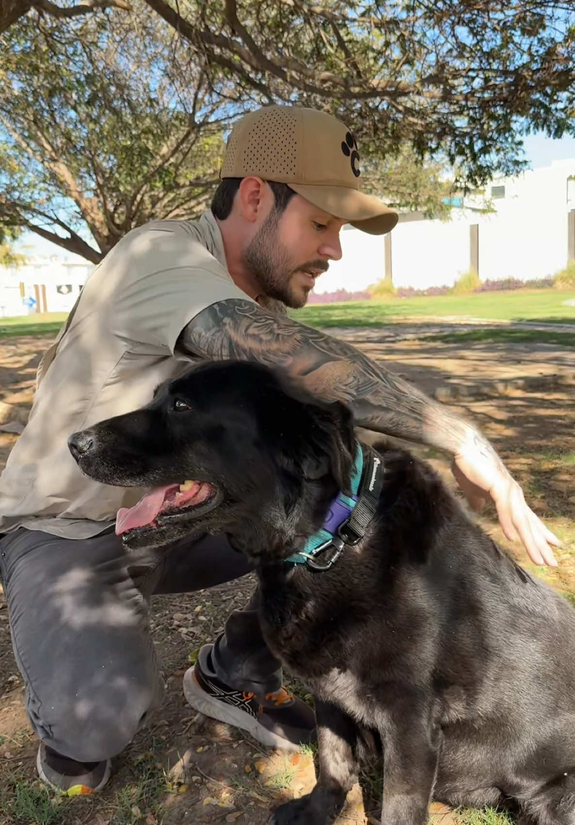 A post by @chemanimals on TikTok caption: Sin pulgas de manera natural perros y gatos