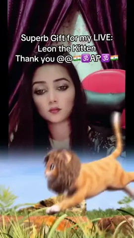 A post by @janujenny6 on TikTok caption: One of the best Gifts in my LIVE. Thank you, @🇮🇳🕉️AP🕉️🇮🇳! For your support to my content.@@🇮🇳🕉️AP🕉️🇮🇳 #tiktoklive #livehighlights #livegift #leonthekitten hi