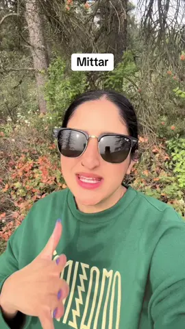A post by @kirpandhillon on TikTok caption: You can thank me Mittar 🤣🤣 #desitiktok #southasiantiktok #punjabi #punjabitiktok #desi #punjabicomedy #punjabifunny 