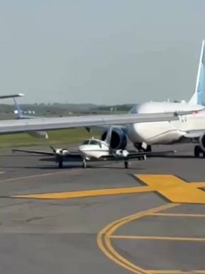 A post by @aviasales on TikTok caption: только посмотрите на него 