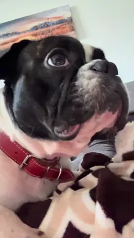 A post by @andruu46 on TikTok