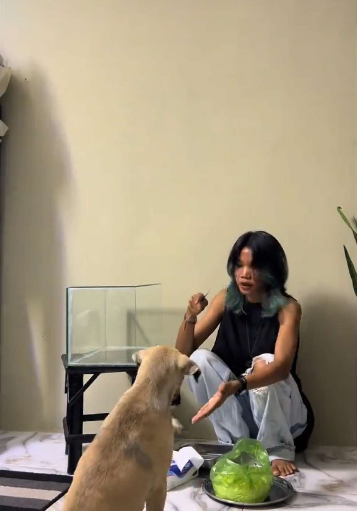 A post by @infinityofsteavkhaet on TikTok caption: ហួសចិត្តហ្នឹងខ្លួនឯង😫🌱#nimnounkpc #cambodian #foryourpage #viral #funnyvideo #fyp #footage 