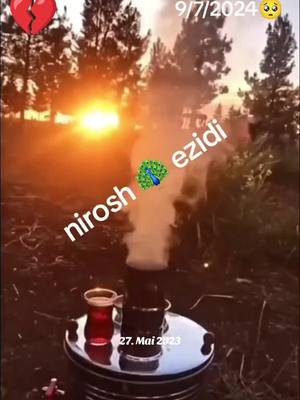 A post by @kajaezidinirosh on TikTok caption: #erinnerung 
