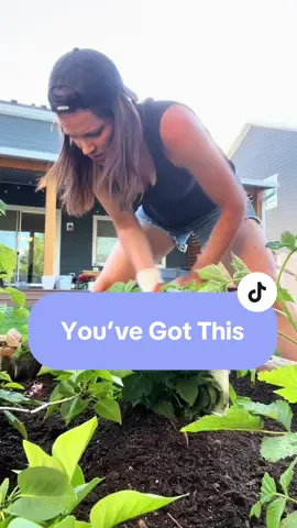 A post by @rach.garrett on TikTok caption: What I want many people in my life to hear this morning. 🤟 If healing feels heavy right now, know there's a random stranger out here (in my own healing garden) rooting for you. You’re doing better than you think. Keep going!  #healingtiktok #fostermom #traumatok 
