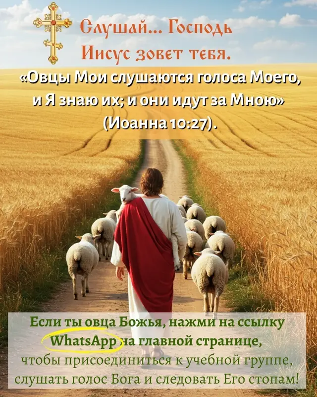 A post by @orthodoxyislove on TikTok caption: Если ты овца Божья, нажми на ссылку WhatsApp на главной странице, чтобы присоединиться к учебной группе, слушать голос Бога и следовать Его стопам! Слушай... Господь Иисус зовет тебя. «Овцы Мои слушаются голоса Моего, и Я знаю их; и они идут за Мною» (Иоанна 10:27). Если ты овца Божья, нажми на ссылку WhatsApp на главной странице, чтобы присоединиться к учебной группе, слушать голос Бога и следовать Его стопам! --------------- #СвятойНиколай#никола#господь#прощение#прощение